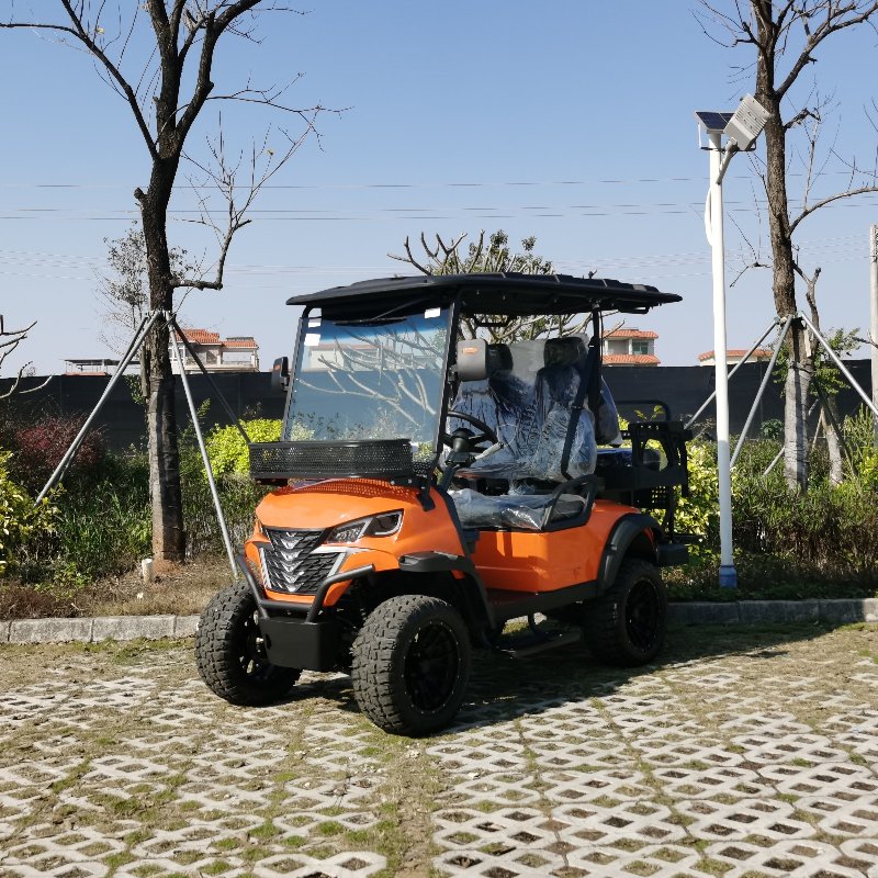 2+2 seater electric hunting sasakyan na may baterya ng lithium
