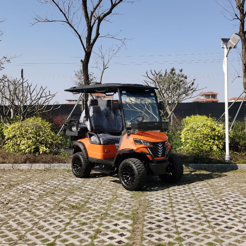 2 Seater Electric Hunting Vehicle na may Lithium Battery