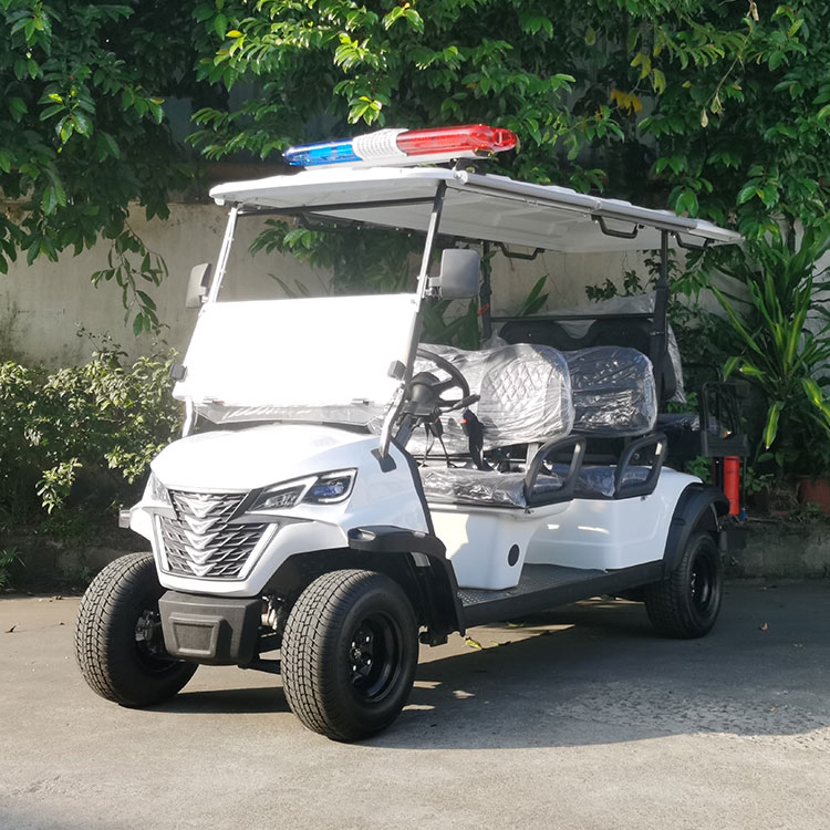4 na sasakyan ng seater electric security