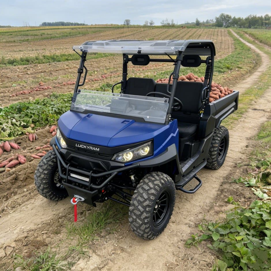 73.6V 4WD UTV 10kw AC Motor EPS Steering 150ah na Baterya