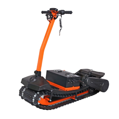 Uri ng electric adventure, rail-mobile, electric scooter Snowfox