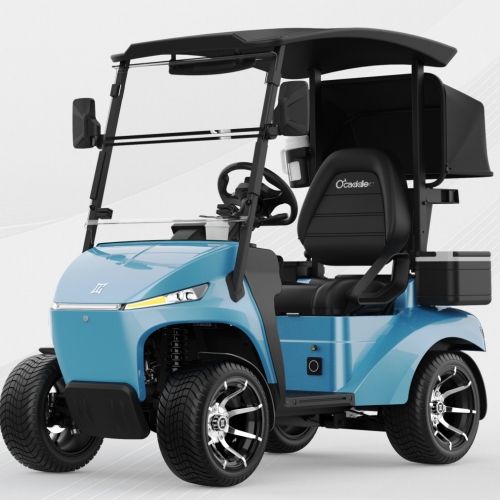 Electric Golf Cart 48V Lithium Battery Street Legal na 1.5KW AC Motor