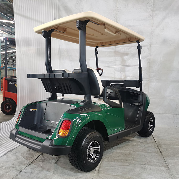 Multi-color 2 seater electric golf cart, nilagyan ng lithium battery