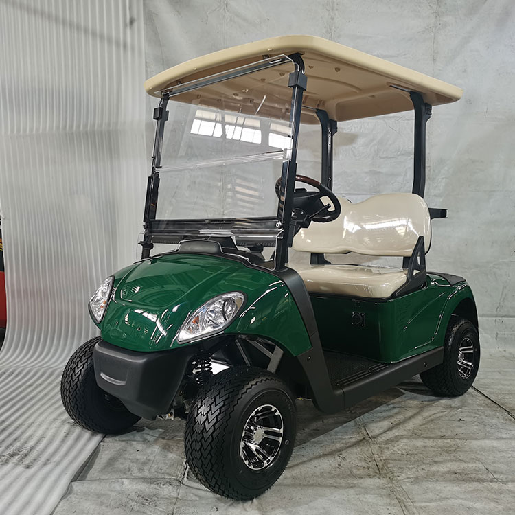 Napakahusay na 2 seater electric golf cart, nilagyan ng lithium battery